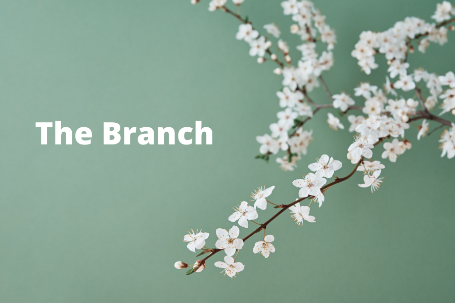 The Branch