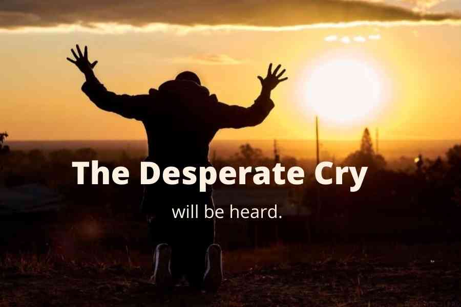 The Desparate Cry
