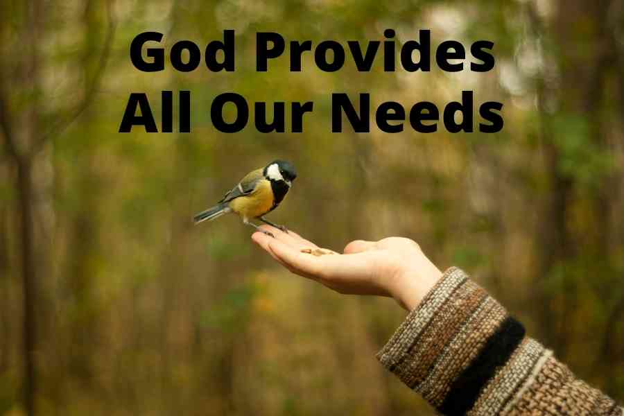 The Lord Has Made Every Provision For Us To Live A Godly Life