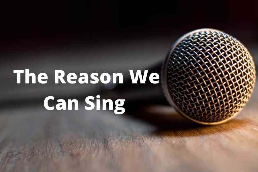 The Reason We Can Sing