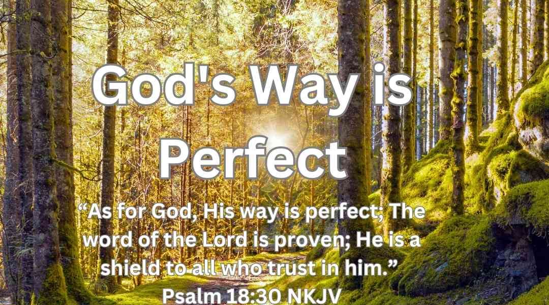 God’s Way Is Perfect