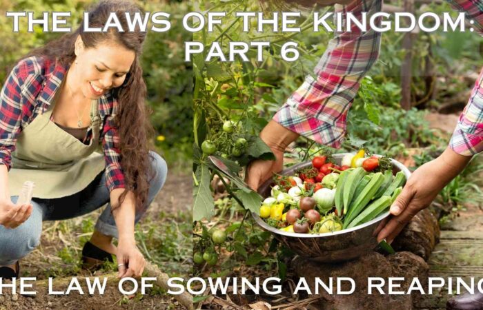 The Law of Sowing and Reaping