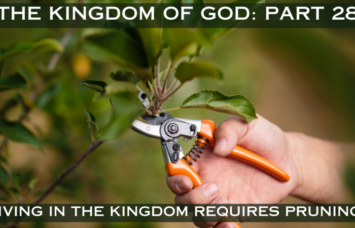 Living in the Kingdom Requires Pruning