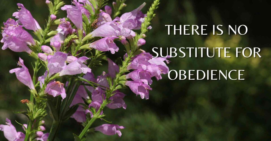 There Is No Substitute for Obedience