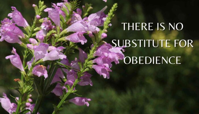 There Is No Substitute for Obedience