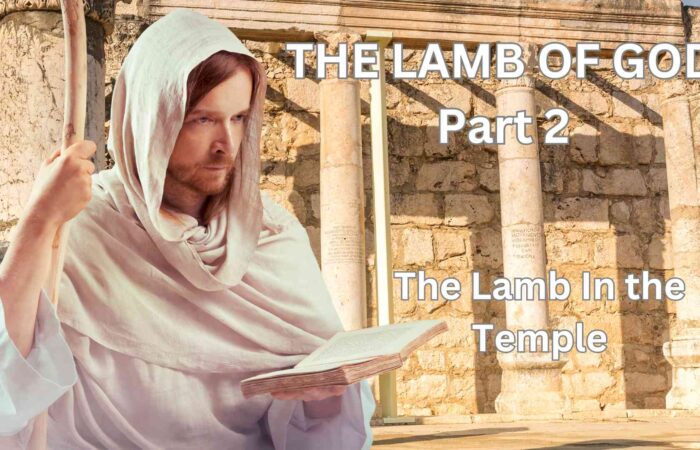 The Lamb of God: Part 2
