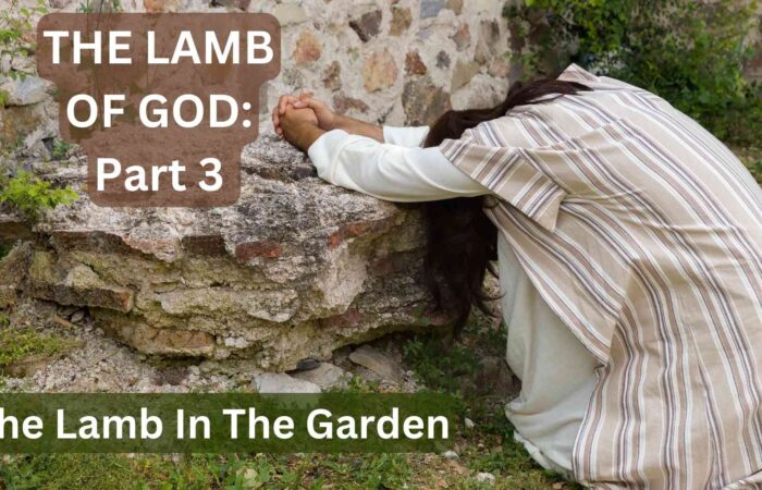 The Lamb of God: Part 3
