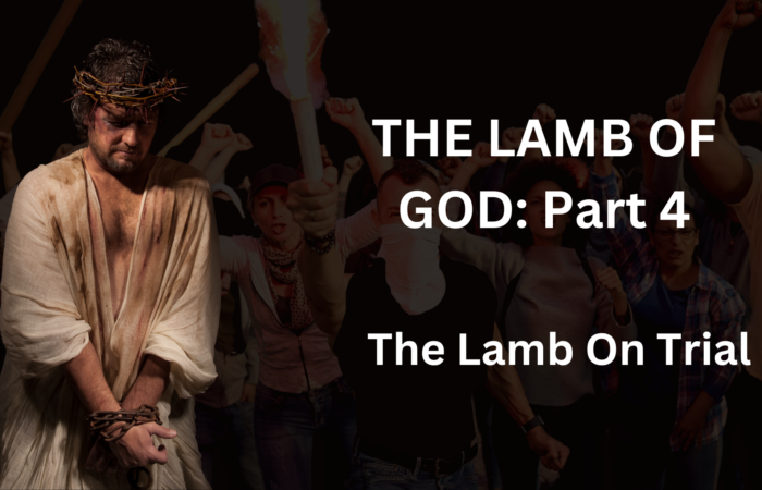 The Lamb On Trial