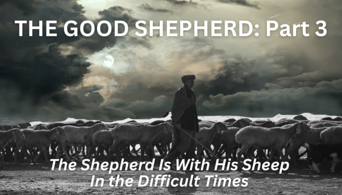 The Good Shepherd: Part 3