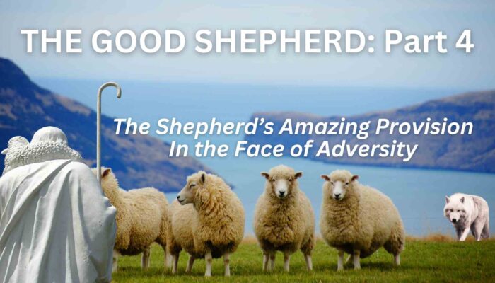 The Good Shepherd: Part 4