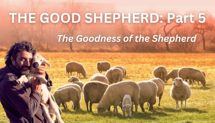 The Good Shepherd: Part 5
