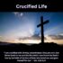 Crucified Life