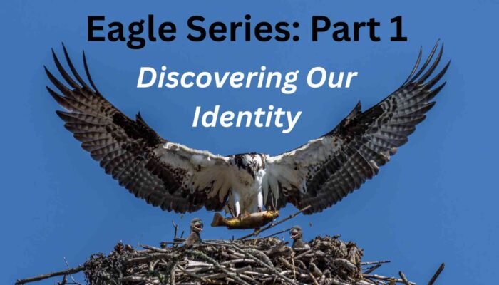 Eagle Series: Part 1