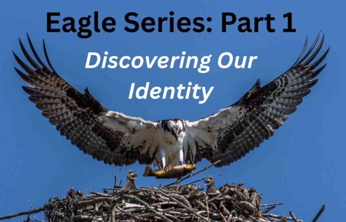 Eagle Series: Part 1