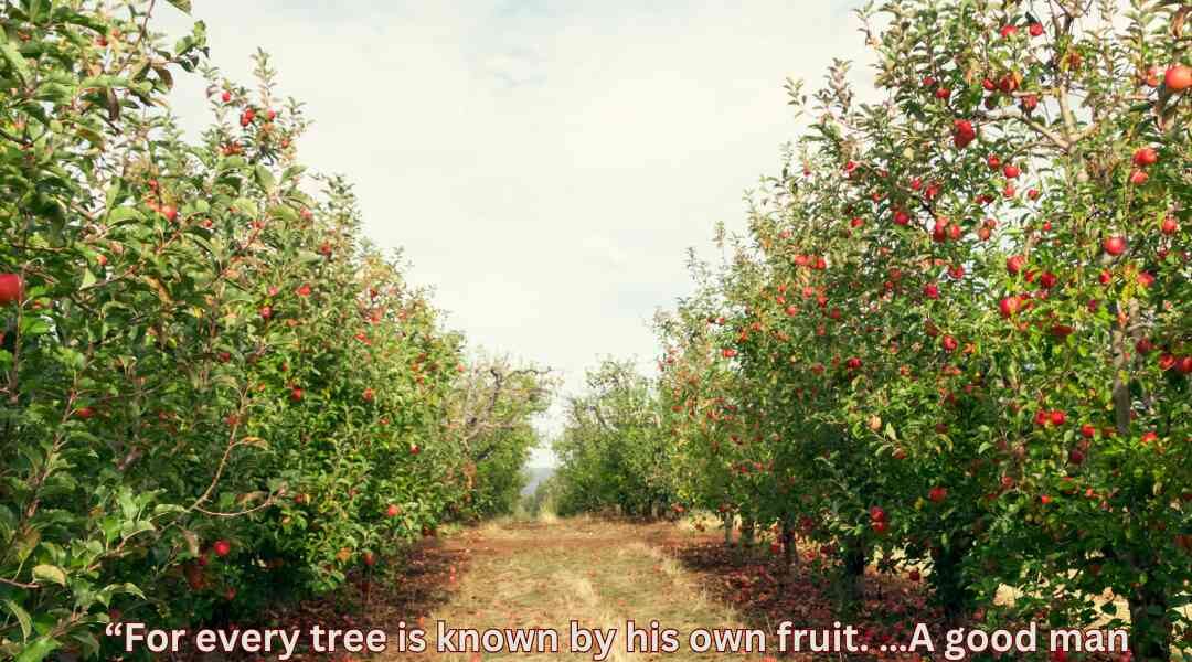  The Importance of Fruit