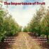  The Importance of Fruit