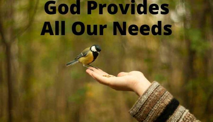 The Lord Has Made Every Provision For Us To Live A Godly Life