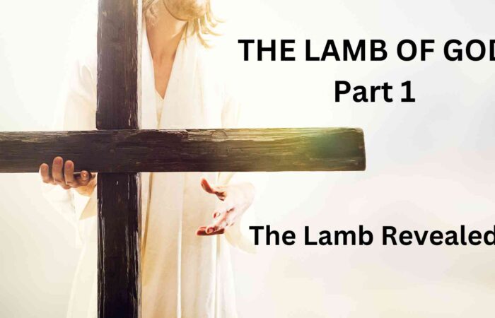 The Lamb of God: Part 1