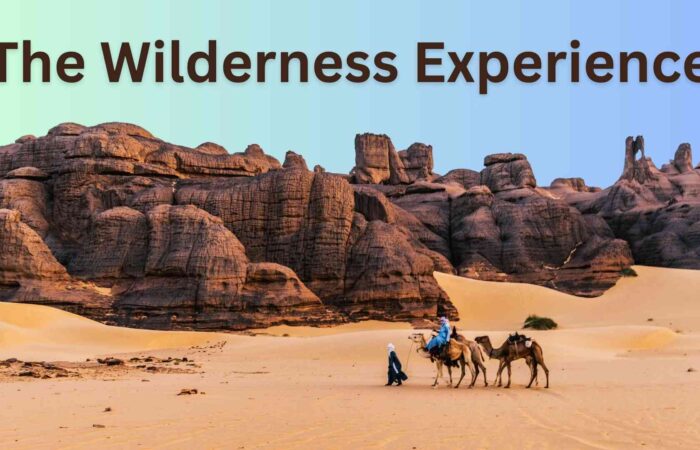 The Wilderness Experience