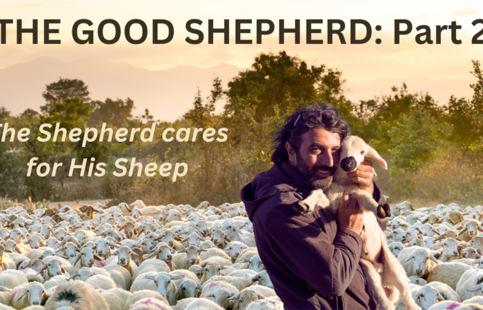 The Good Shepard: Part 2