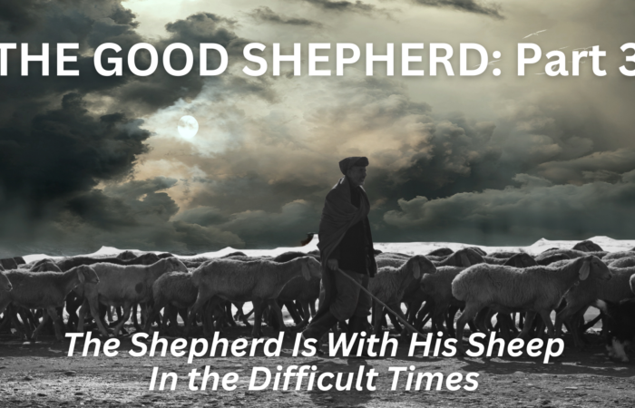 The Good Shepherd: Part 3