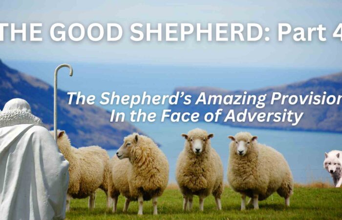 The Good Shepherd: Part 4