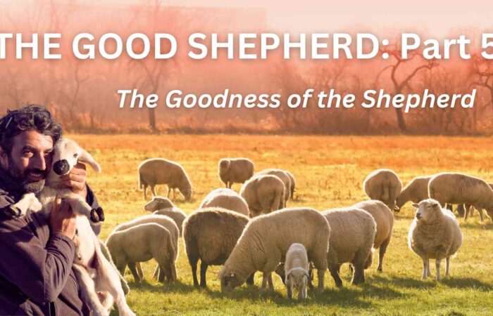 The Good Shepherd: Part 5