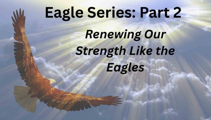 Renewing Our Strength Like The Eagles