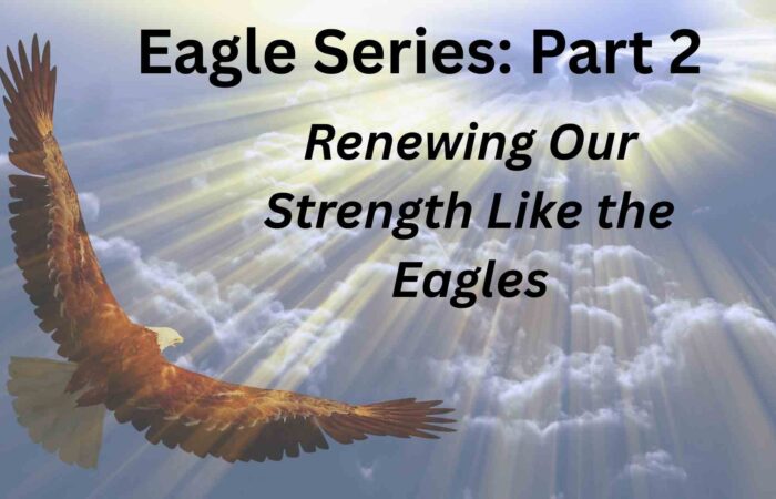 Renewing Our Strength Like The Eagles
