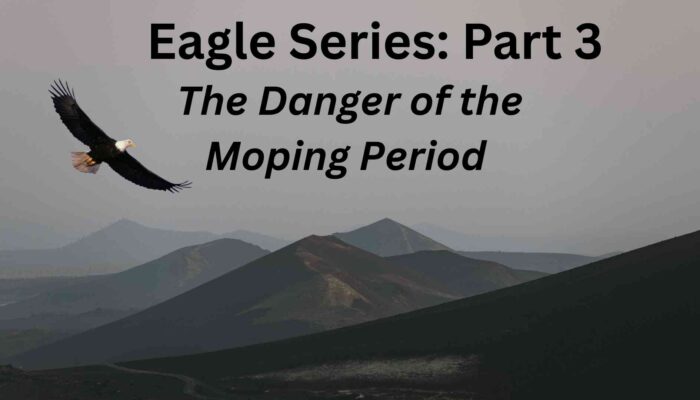 Eagle Series: Part 3