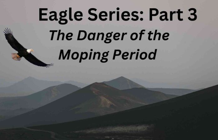 Eagle Series: Part 3