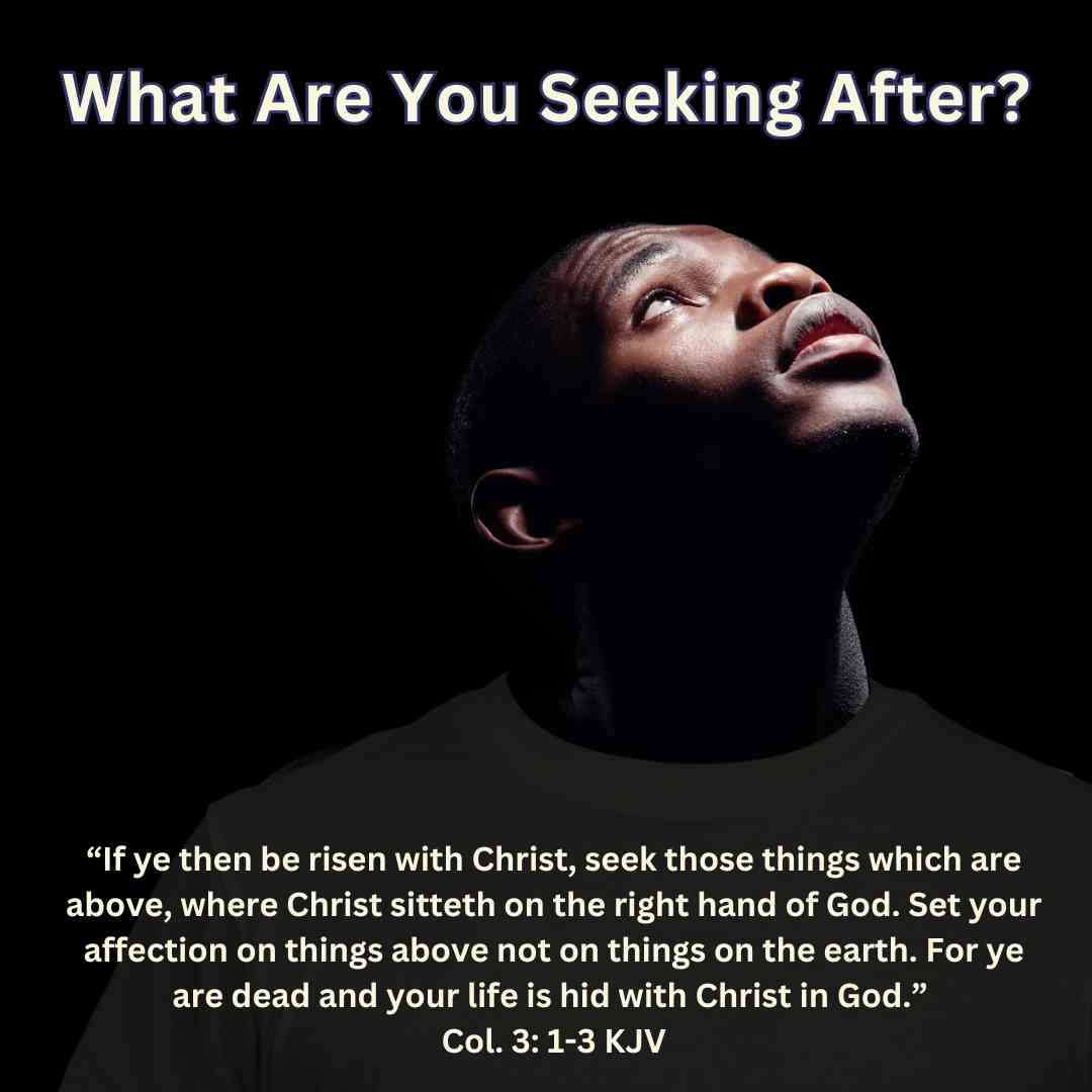 What Are You Seeking After?