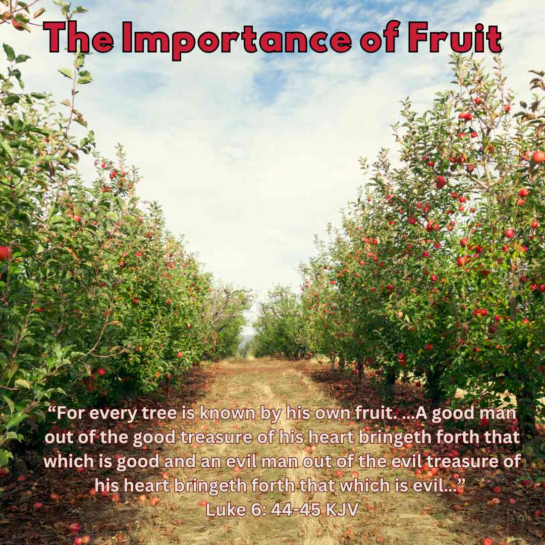  The Importance of Fruit
